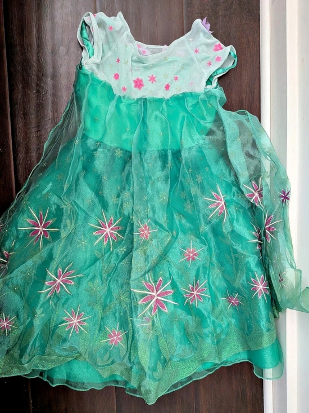 Disney Store Frozen Fever Elsa Costume Dress Girls Size 4T Green & Pink